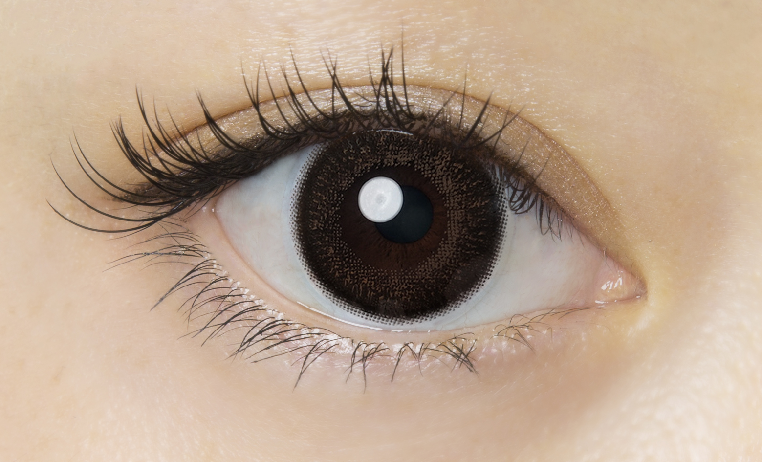 カラコン通販 激安 Flanmy フランミー カカオワッフル 愛眼ネットショップ