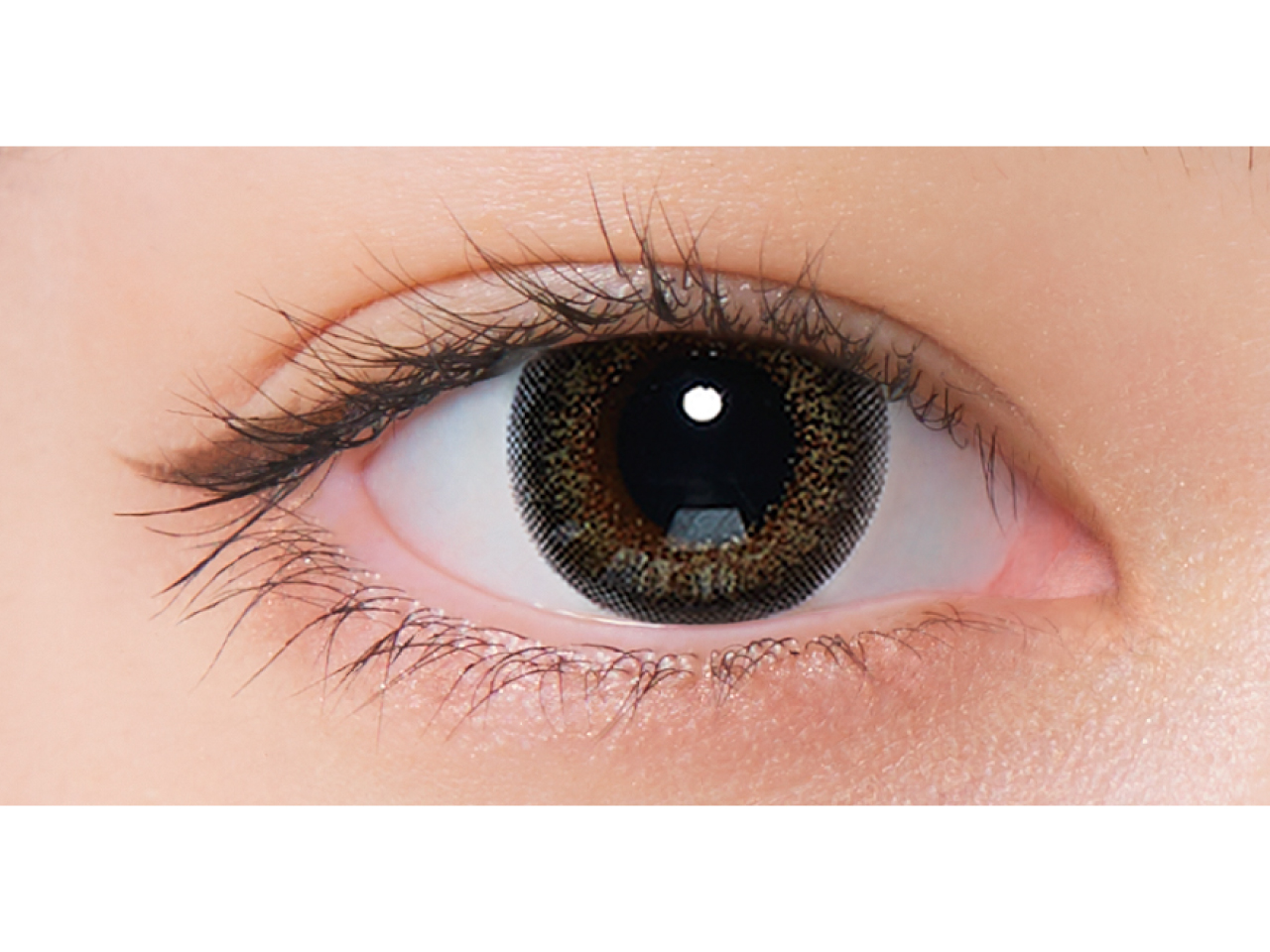 ネオサイトワンデーシエルUV シエルグリーン