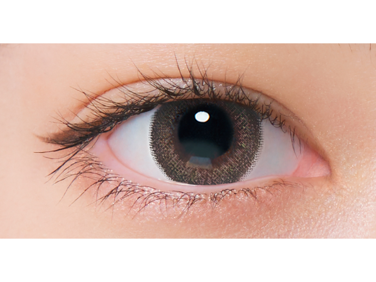 ネオサイトワンデーシエルUV シエルペールピンク