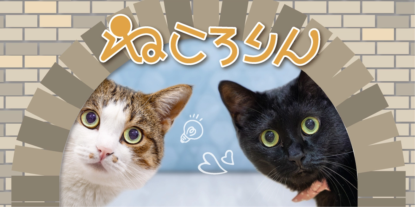 猫好き歓喜・ねころりん 新モデル
