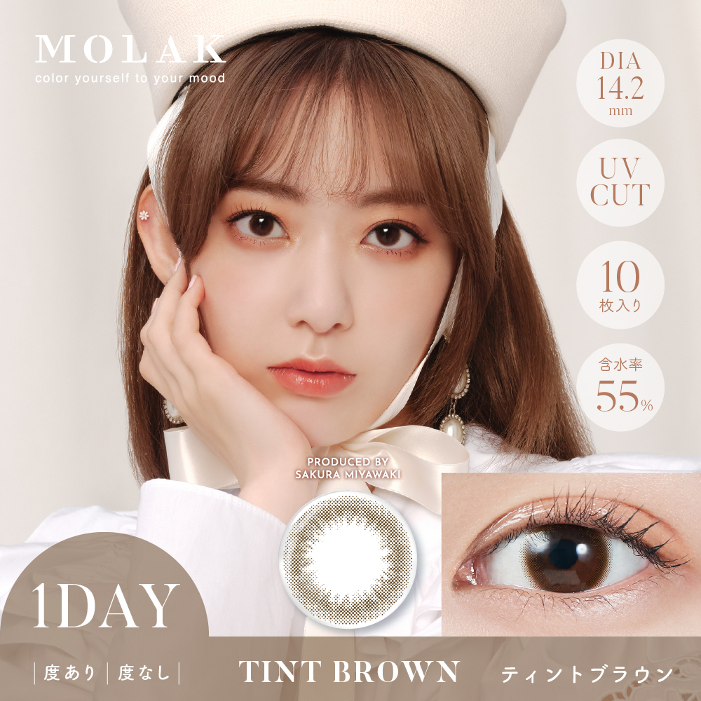 MOLAK 1dayモラクワンデー　ティントブラウン