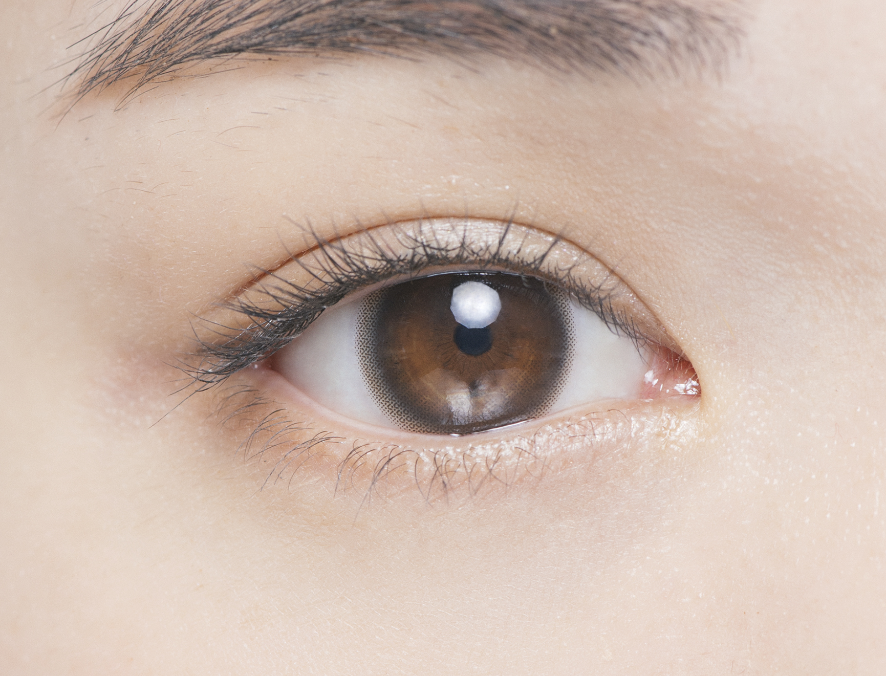 chu"s meチューズミー 　ベイビーブラウン