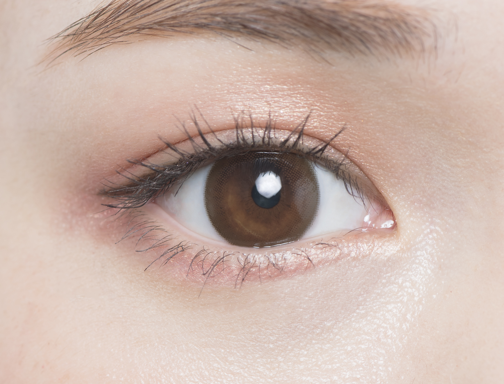 chu"s meチューズミー 　チョコブラウン