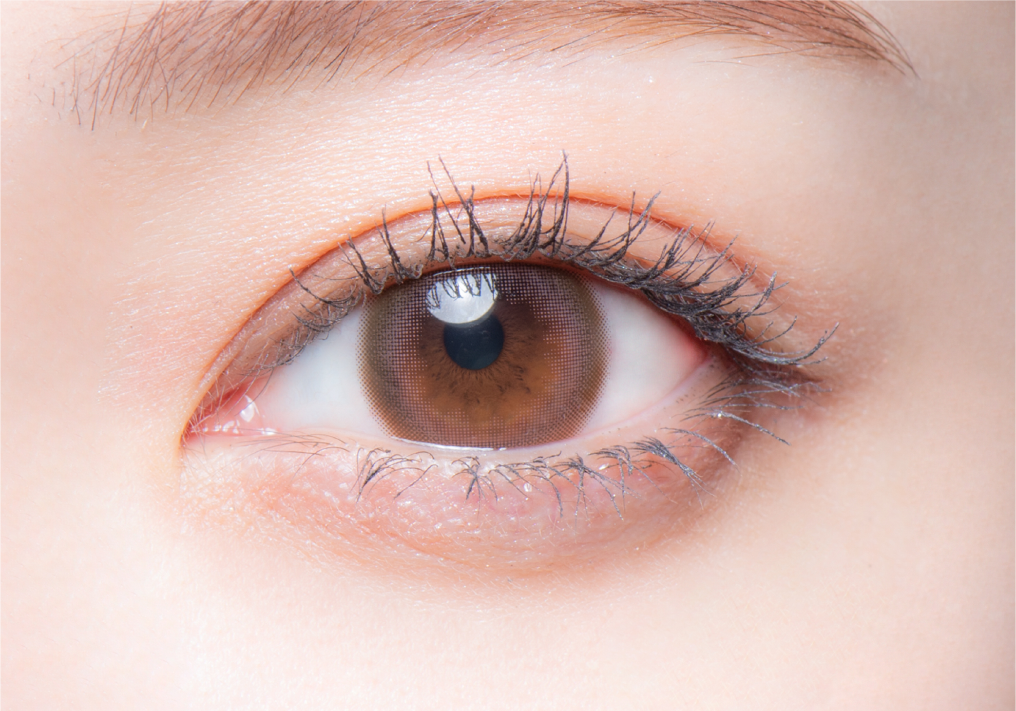 melotteメロット　ロマンティックローズ