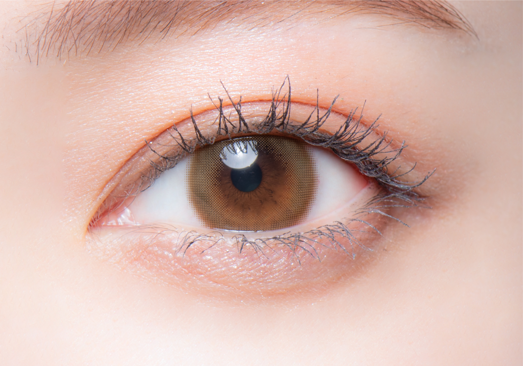 melotteメロット　ビーブロンド