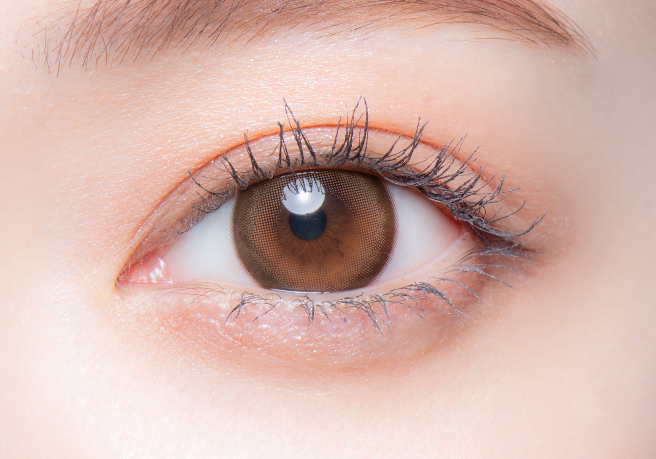 melotteメロット　シークレットベア