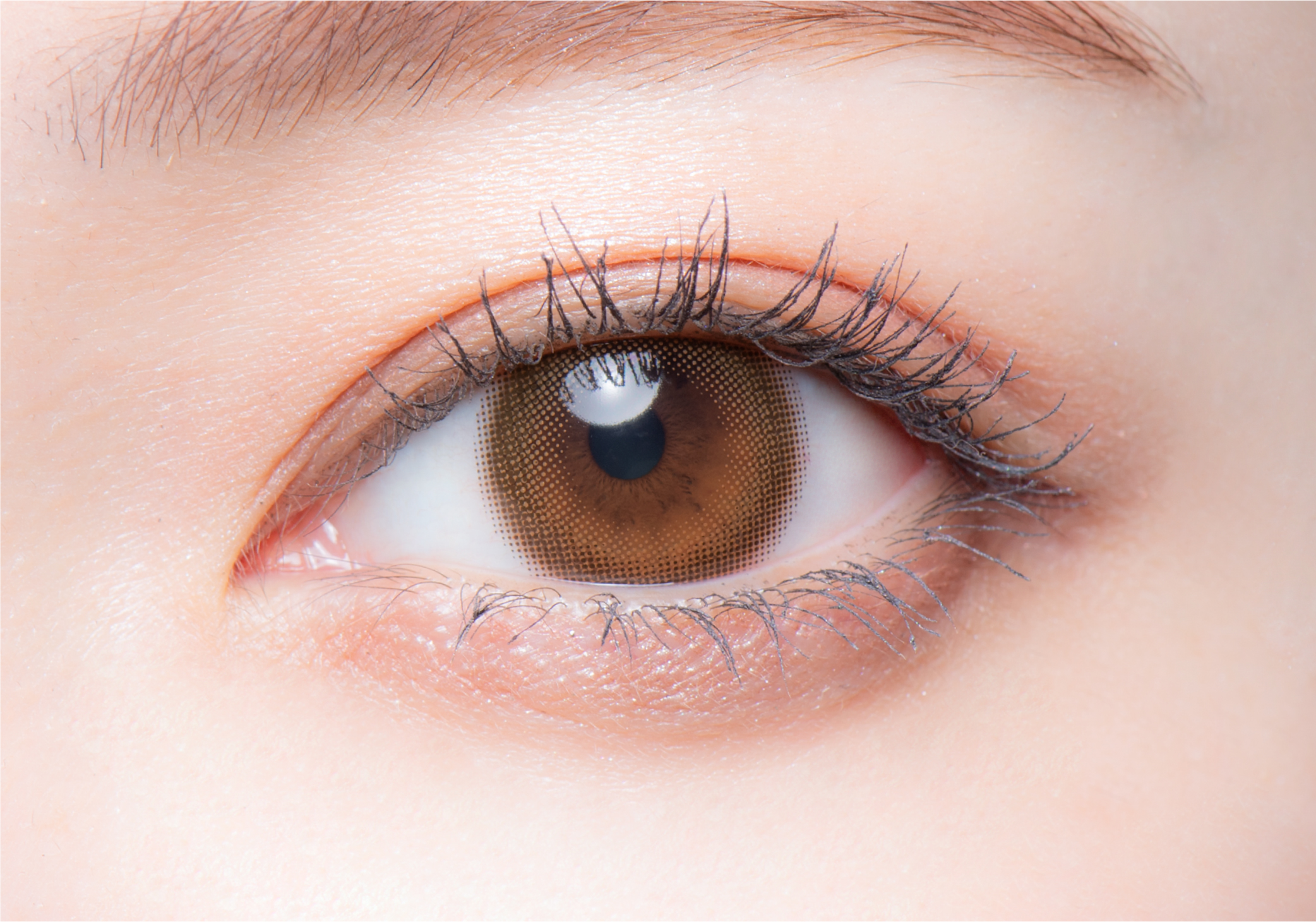 melotteメロット　ミルクパフ