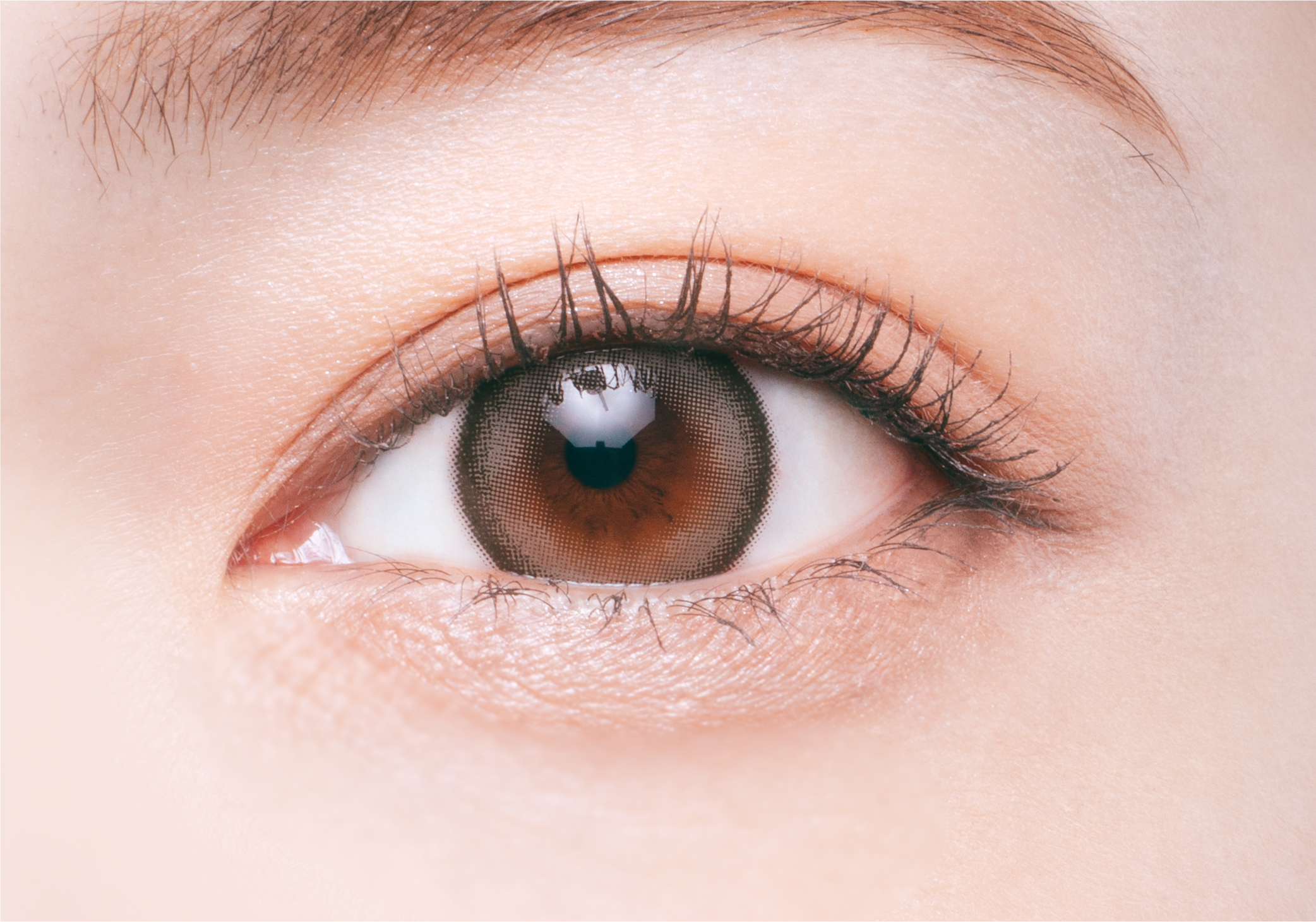 melotteメロット　キャットリング