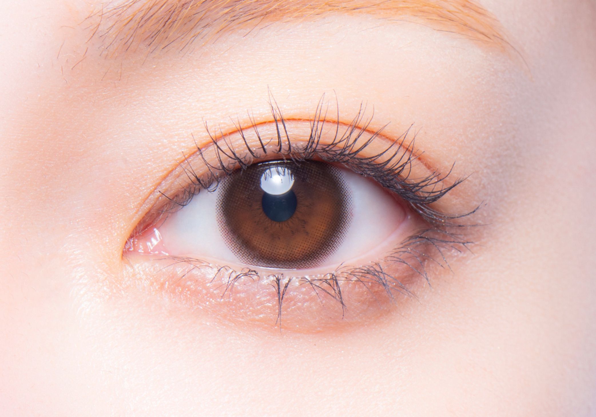 melotteメロット　モアレディ