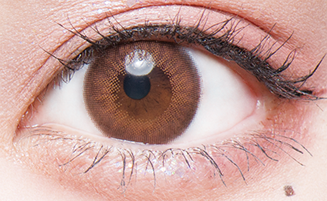 Flurryフルーリー　うるうるチワワ　モカダークブラウン