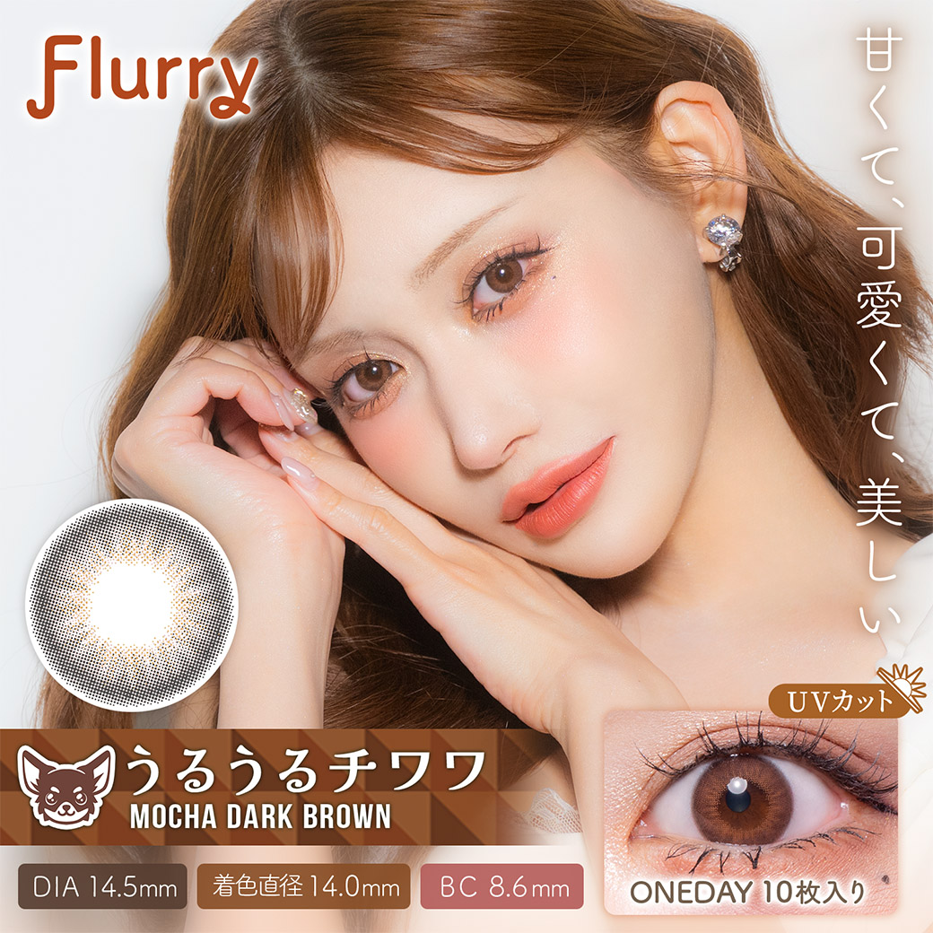 Flurryフルーリー　うるうるチワワ　モカダークブラウン