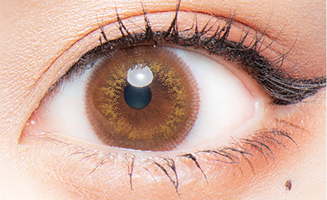 Flurryフルーリー　くりくりプードル