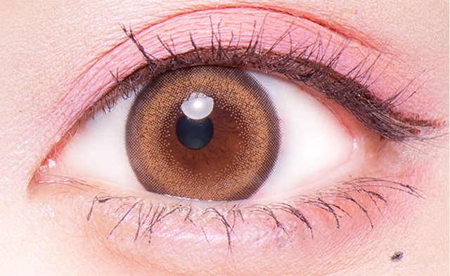 Flurryフルーリー　もふもふハムスター　リングオレンジブラウン