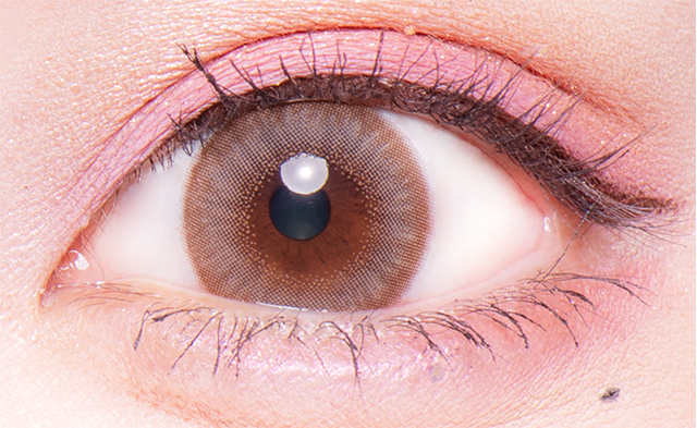 Flurryフルーリー　ぽんぽこたぬき　パールライトブラウン