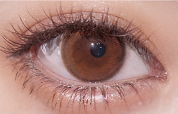 Ferenne 1dayフェレーヌワンデー　エクリンブラウン　ヘラヘラ三銃士まりな