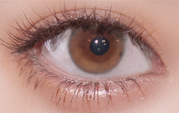 Ferenne 1dayフェレーヌワンデー　ティアフィーヌブラウン　ヘラヘラ三銃士まりな