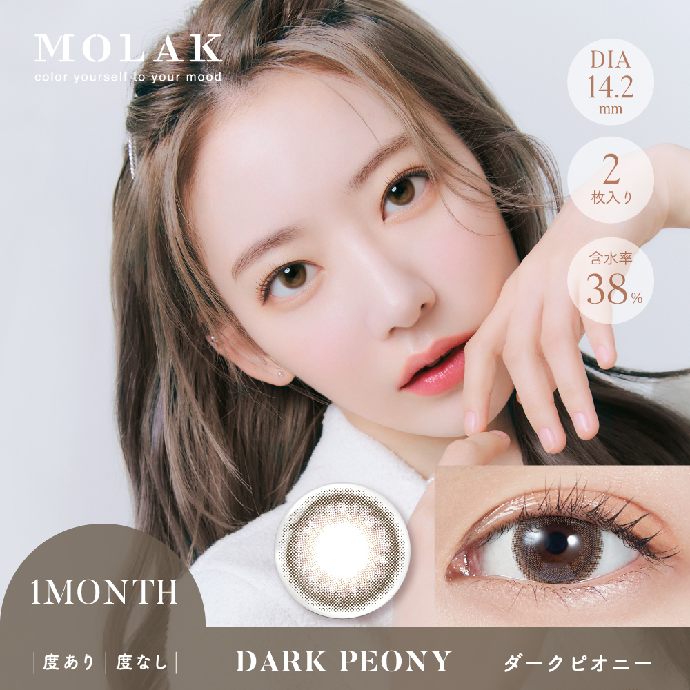 MOLAK 1monthモラクマンスリー　ダークピオニー