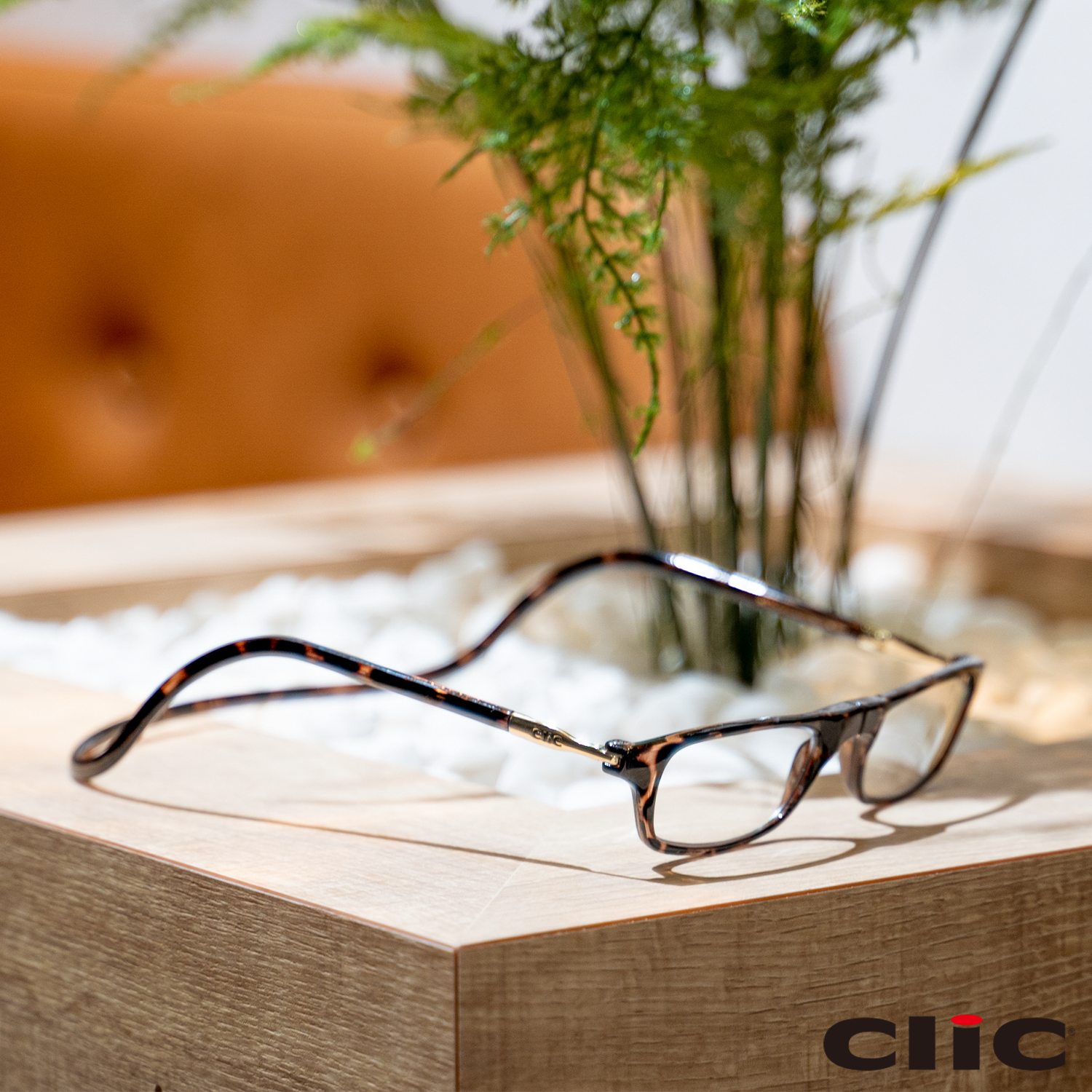 AIGAN |既製老眼鏡 CliC Readers (クリックリーダー) リーディング