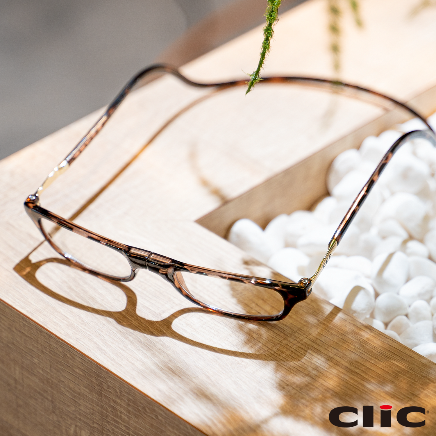 AIGAN |既製老眼鏡 CliC Readers (クリックリーダー) リーディング